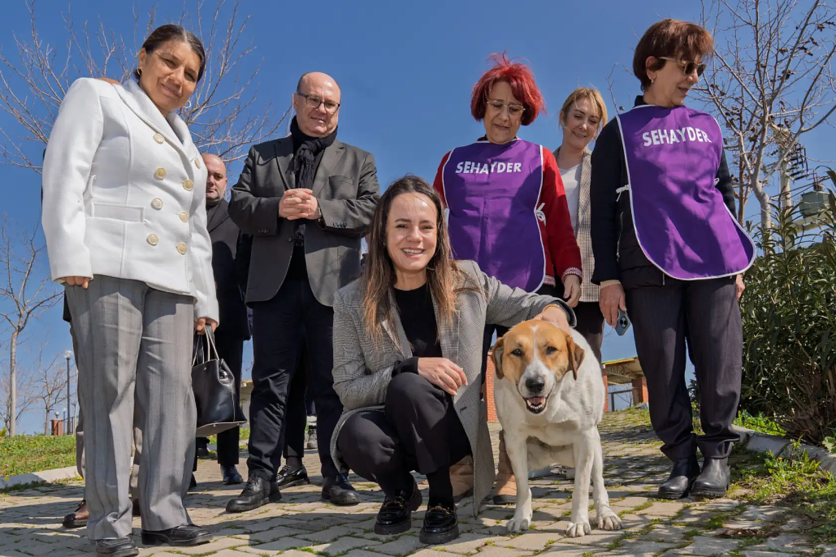 İzmir'de bir patili dost edinmeye ne dersiniz?