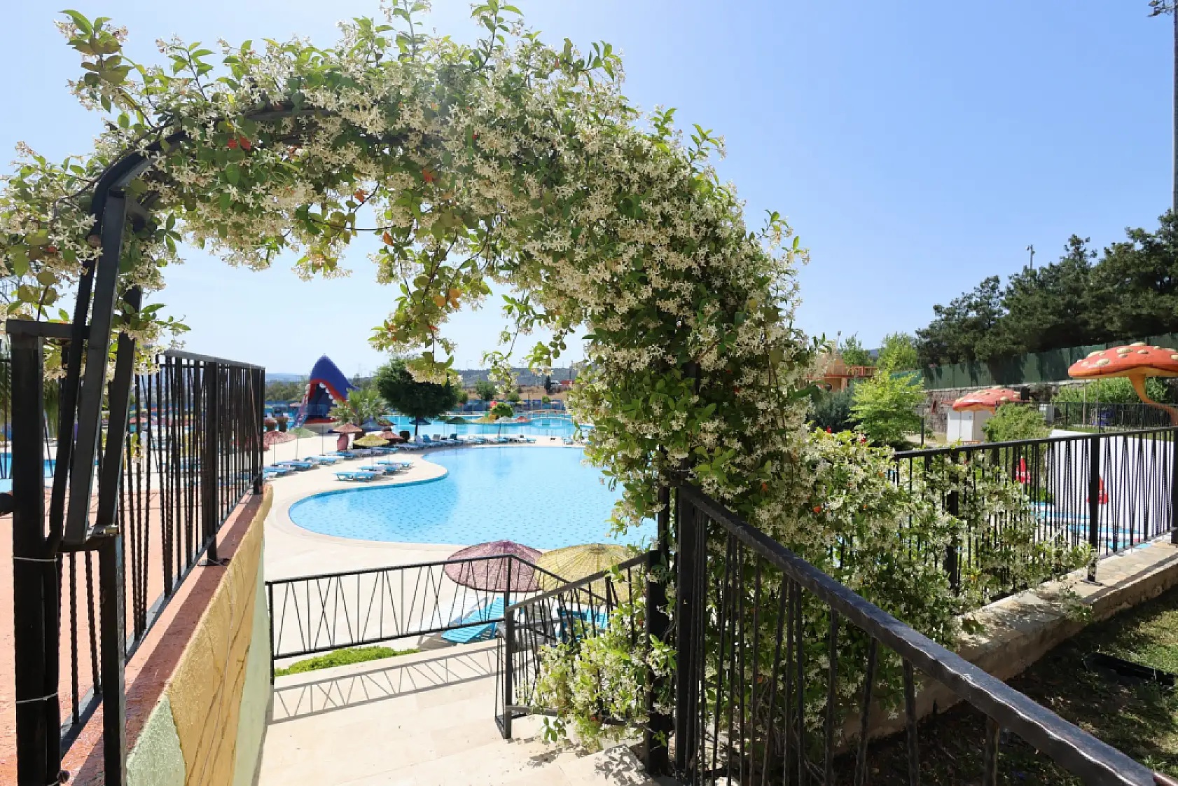 Karabağlar'da yazın en serin adresi! İzmir'in ortasında tatil köyü havası