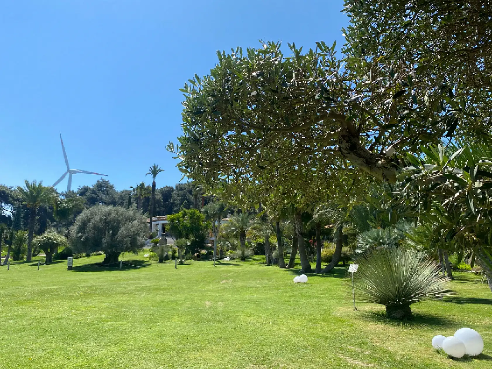 İzmir'de kendinizi başka bir kıtada hissedeceğiniz bir yer: Tropikal ağaçlar, bambaşka bir atmosfer| 40 dakikada gidebiliyorsunuz!