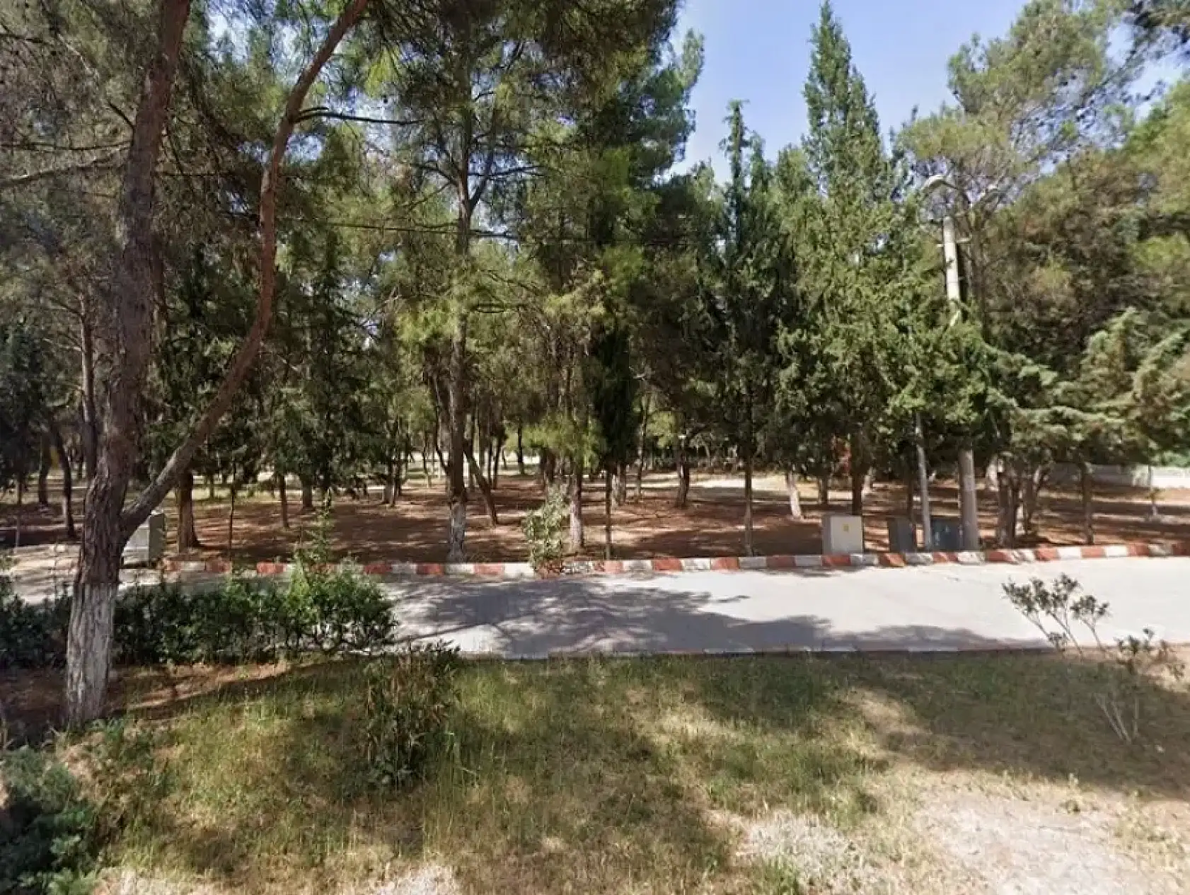 İzmir'de İnciraltı'nı unutturacak yeni gözde! Az bilinen ücretsiz piknik cenneti