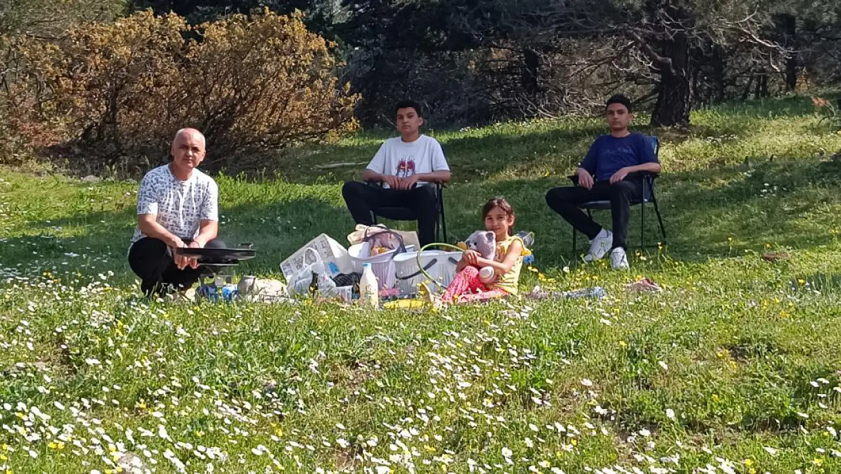 Efsanevi laleler Spil Dağı'nda çiçek açtı: Güzellikleri yalızca 10 gün sürüyor