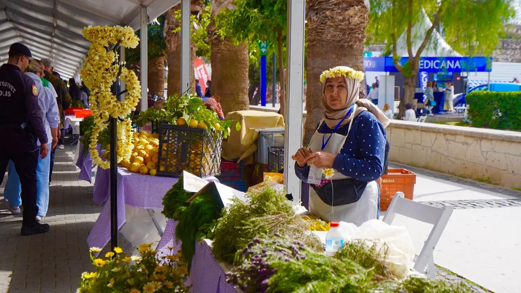 İzmir'de Alaçatı Ot Festivali başladı: Kaya Koruğu ile tanıştınız mı?