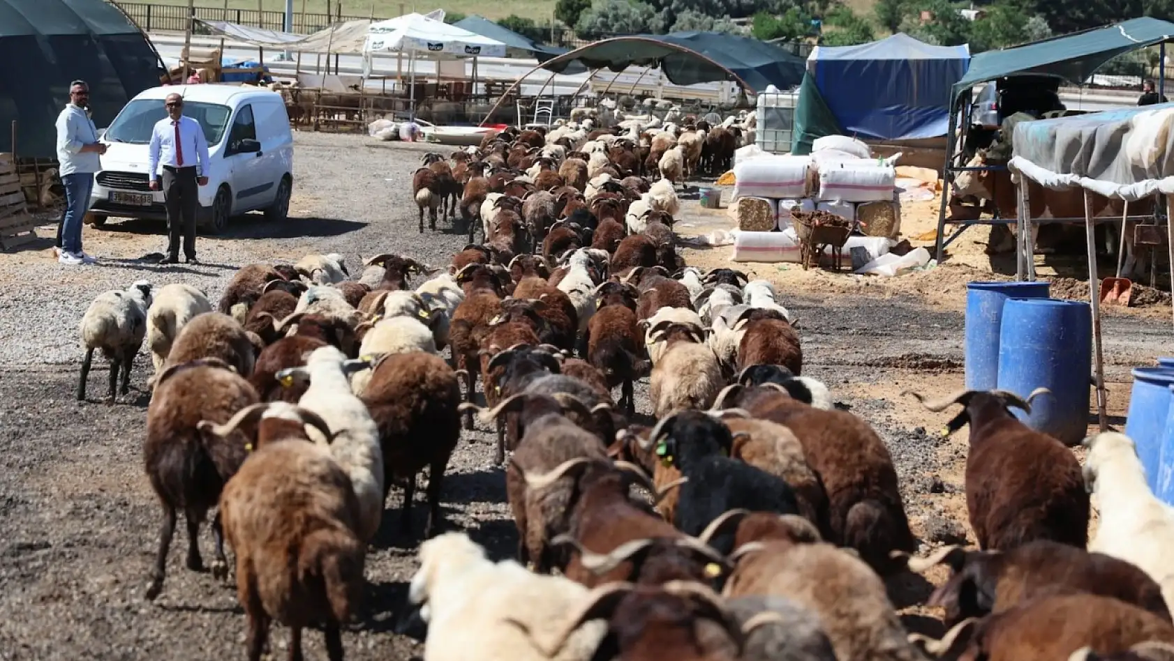 İzmir'de kurban kesim noktaları belli oldu