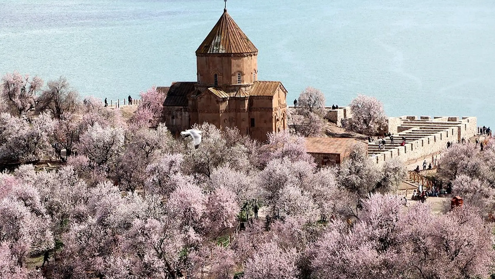 Akdamar’da bahar cümbüşü yaşanıyor!