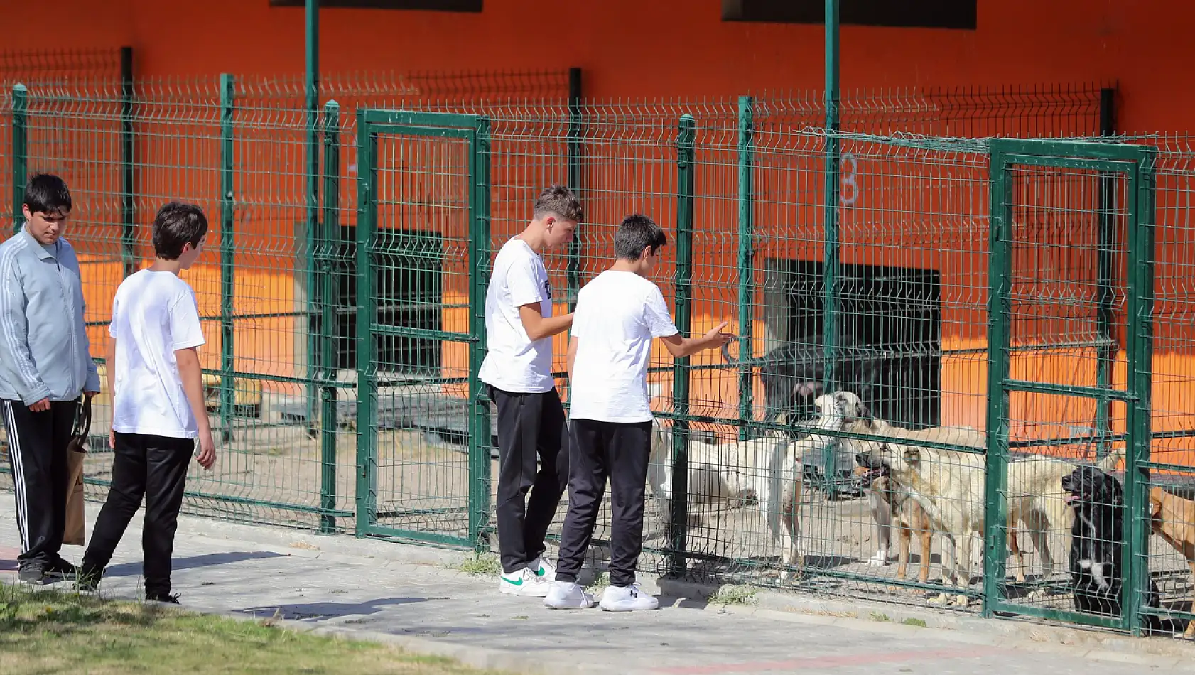 Aliağa Belediyesi'nin Pati Park'ına yoğun ilgi