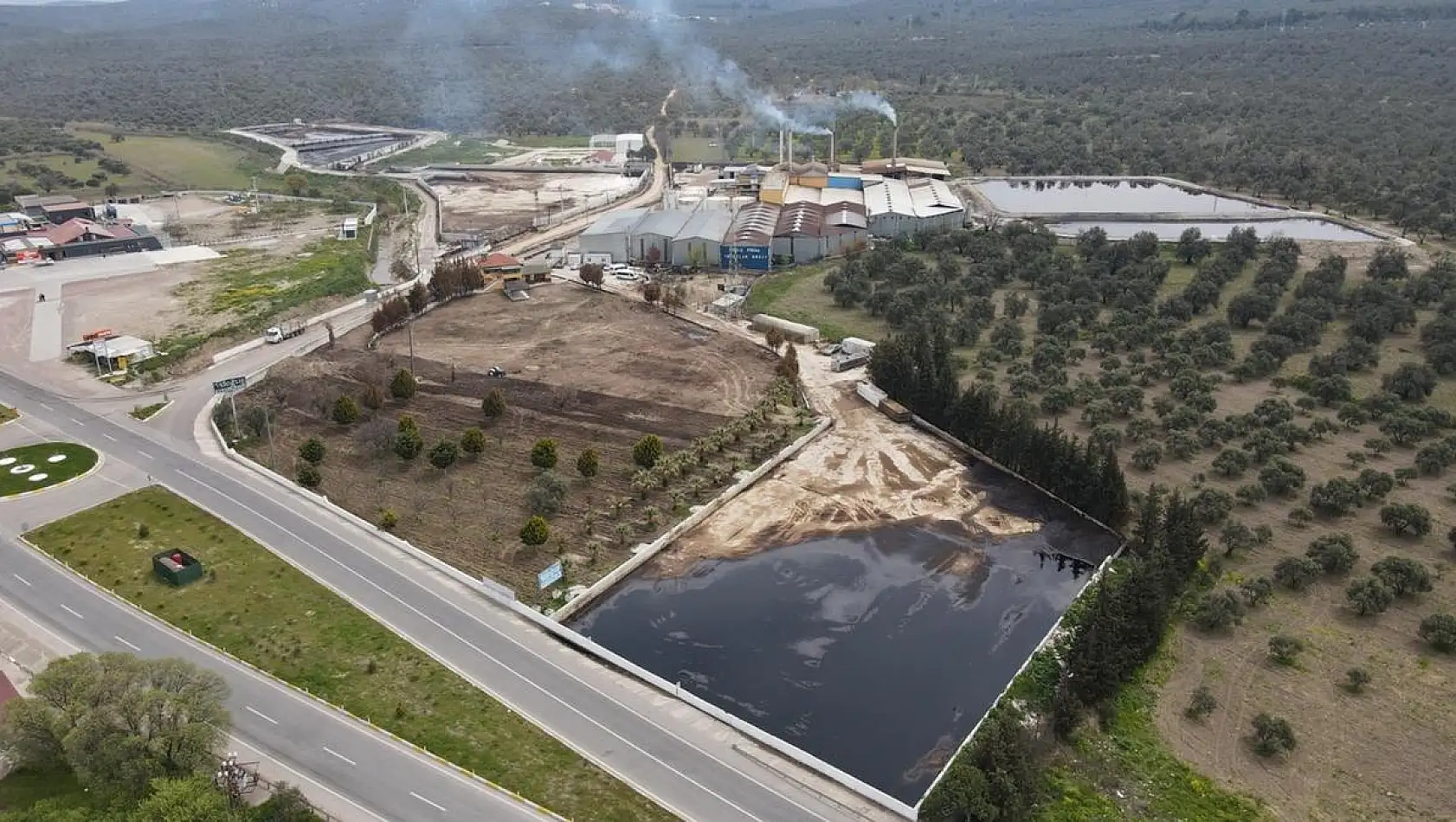 Ayvalık çiçek koksun