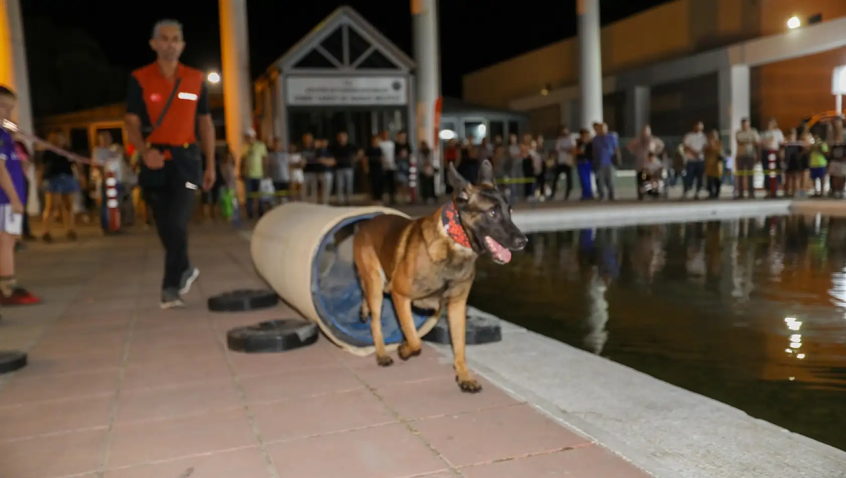 Buca'nın kurtarma köpekleri yoğun ilgi gördü