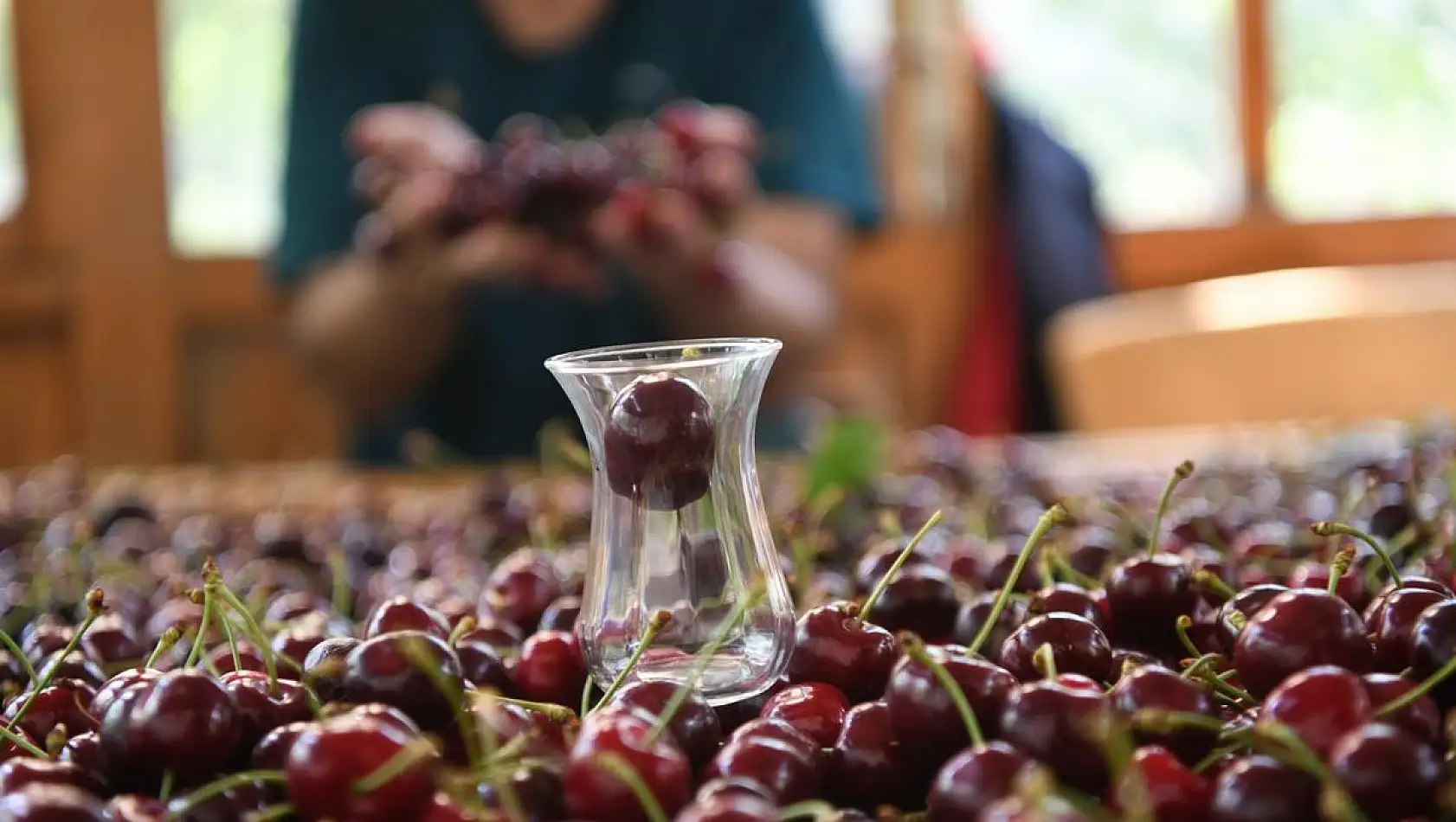 Çay bardağına sığmayan kiraz