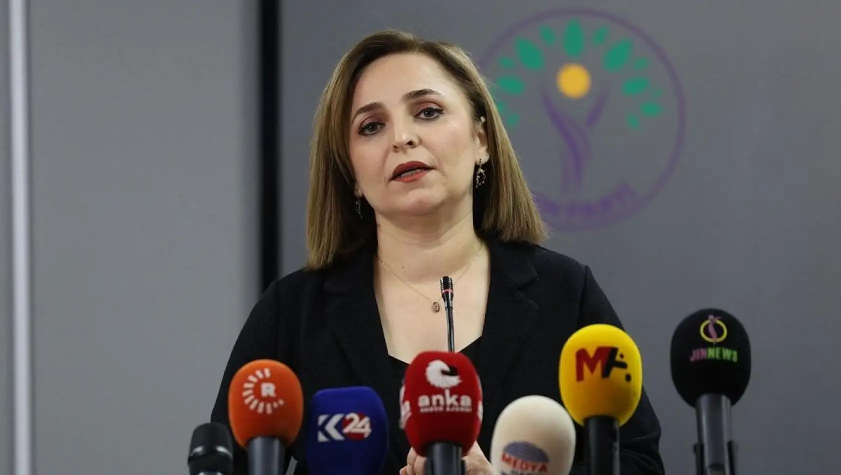 DEM Parti’den miting çağrısı: Kayyuma karşı Hakkari’de buluşulacak