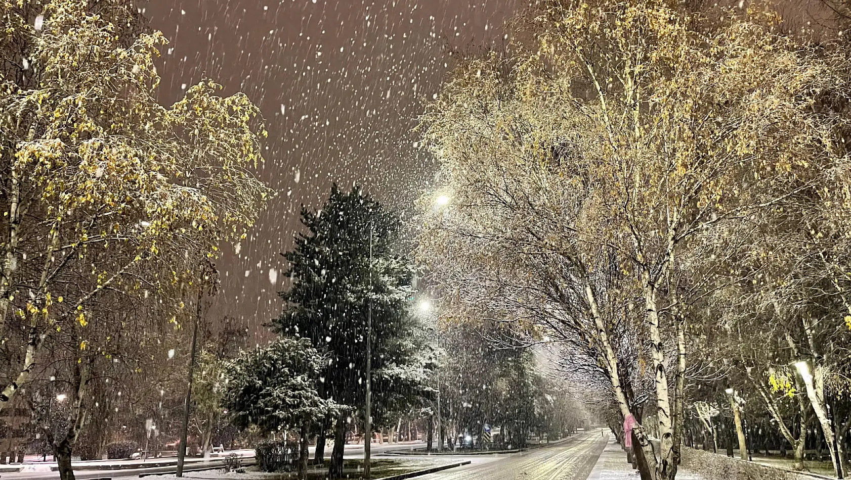 Erzurum'da kar manzaraları