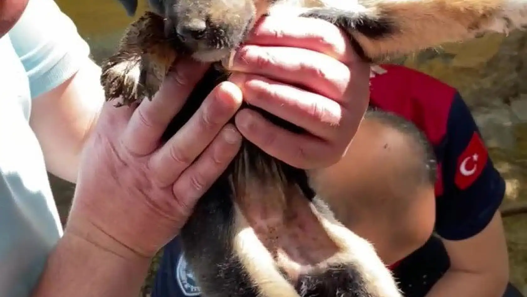 İtfaiyeciler, atık su borusunda mahsur kalan yavru köpekleri kurtardı