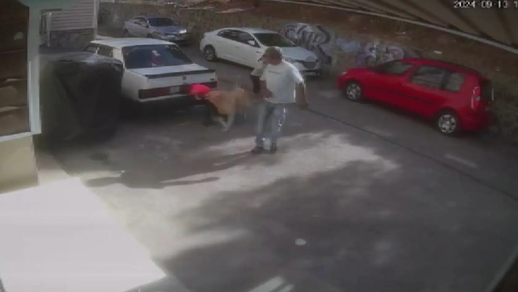 İzmir'de küçük çocuk sevdiği sokak köpeği tarafından ısırıldı