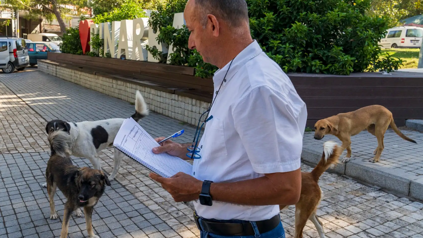 İzmir'de sahipsiz köpekler için büyük adım