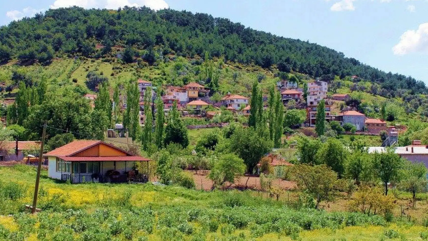 İzmir'e 15 dakika | Yöresel lezzetler, tırmanış, doğa, orman içinde yürüyüş yok yok!