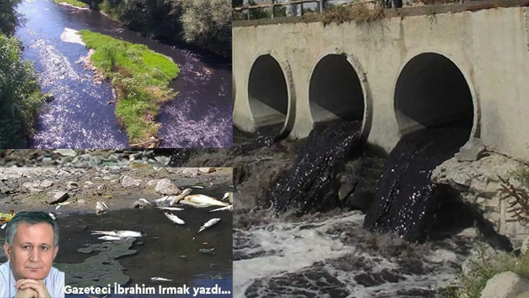 İzmir Körfezi'nin katilleri! Gediz Nehri temizlenmezse İzmir Körfezi kurtulmaz