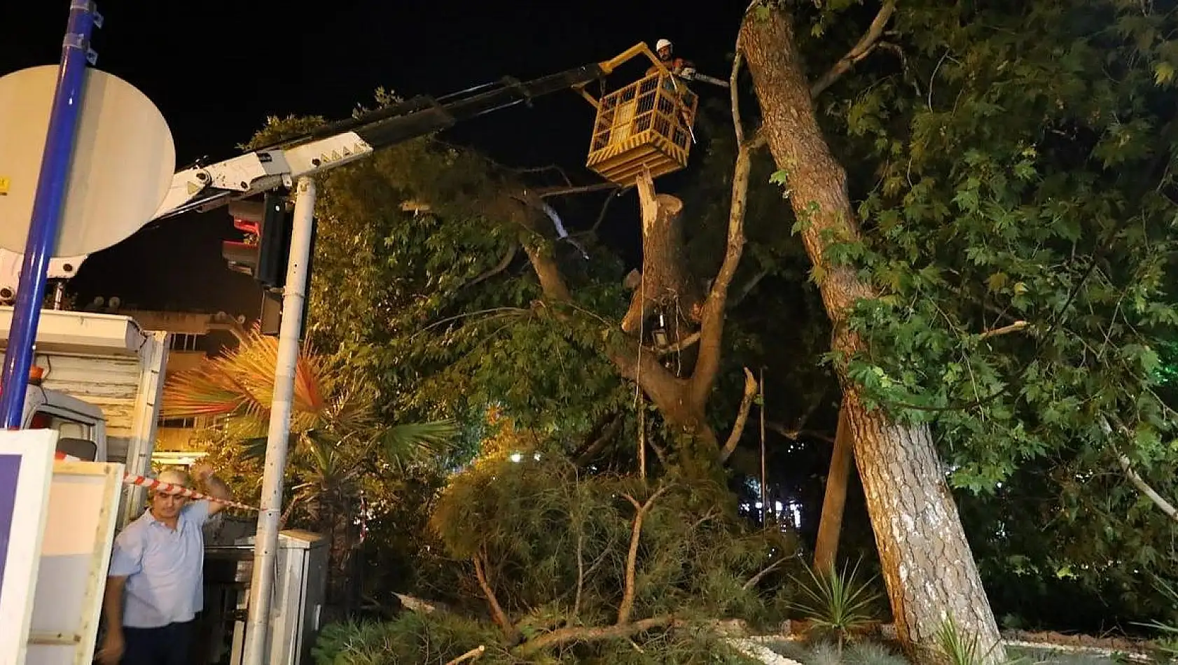 İzmir sıcaktan kavrulurken Turgutlu’da fırtına ağacı devirdi