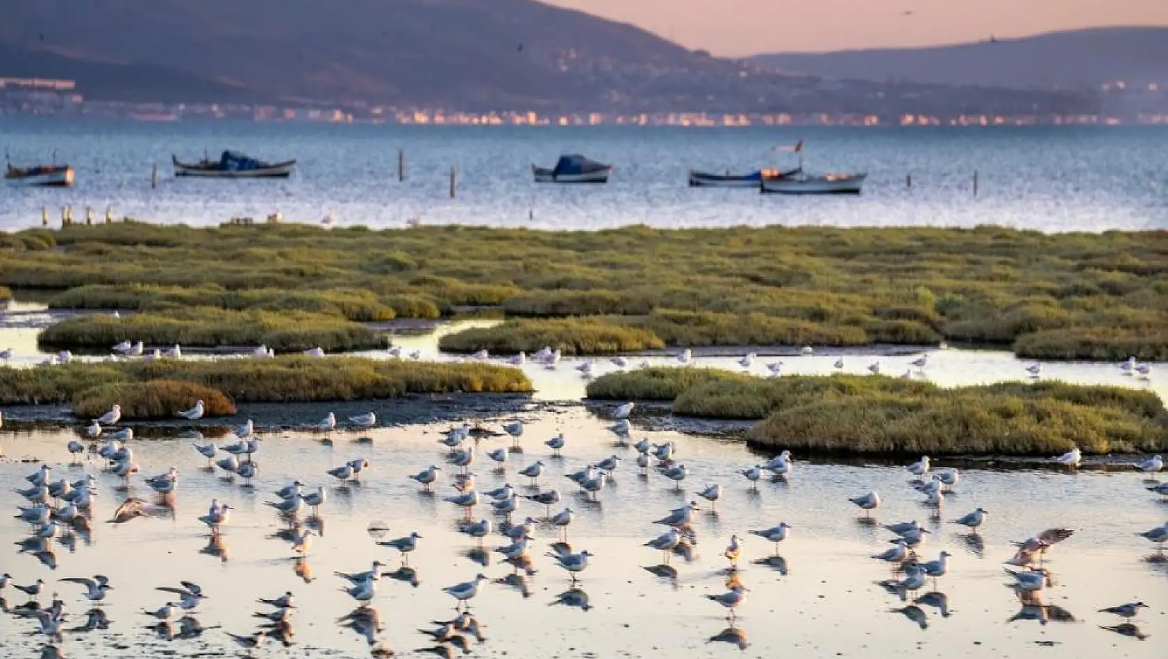 İzmir ve Lubliyana kuraklığa karşı güçlerini birleştirecek