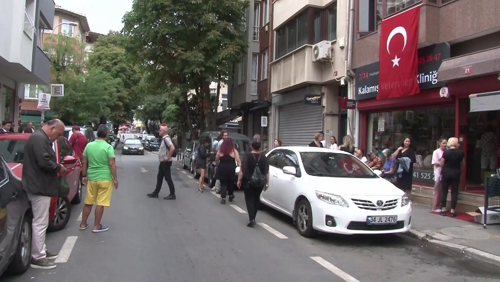 Kadıköy'de çok sayıda kedi ve köpek zehirlendi