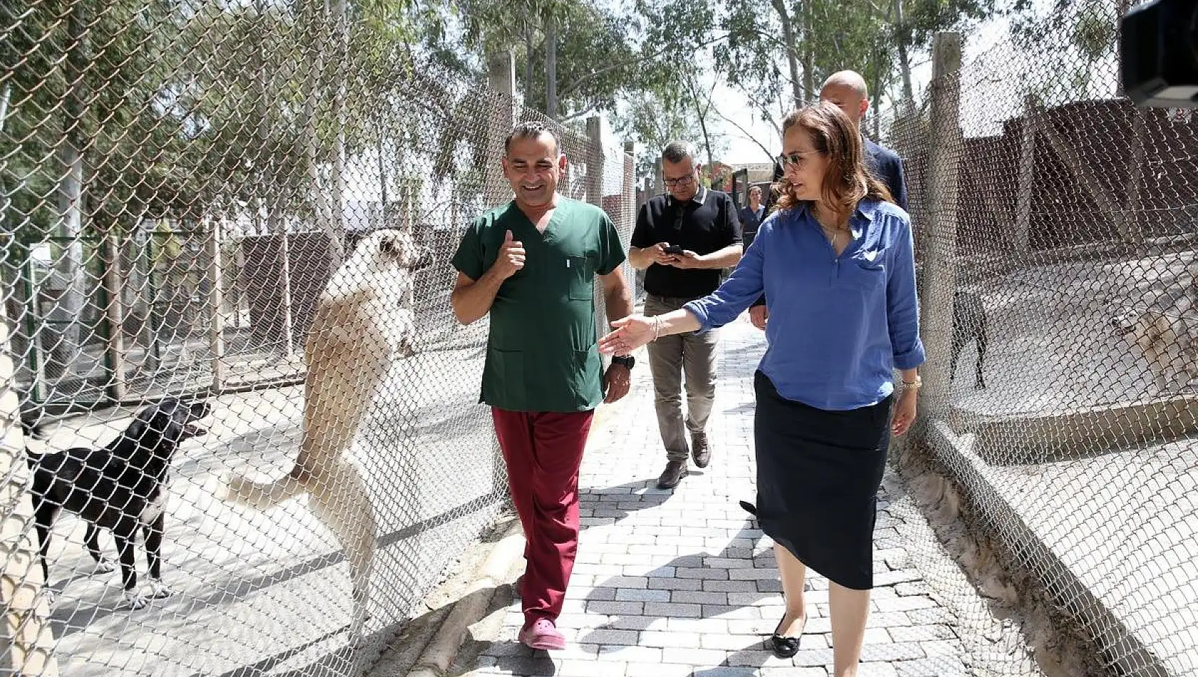 Karşıyaka Belediyesi’nden sokak hayvanları için büyük adım