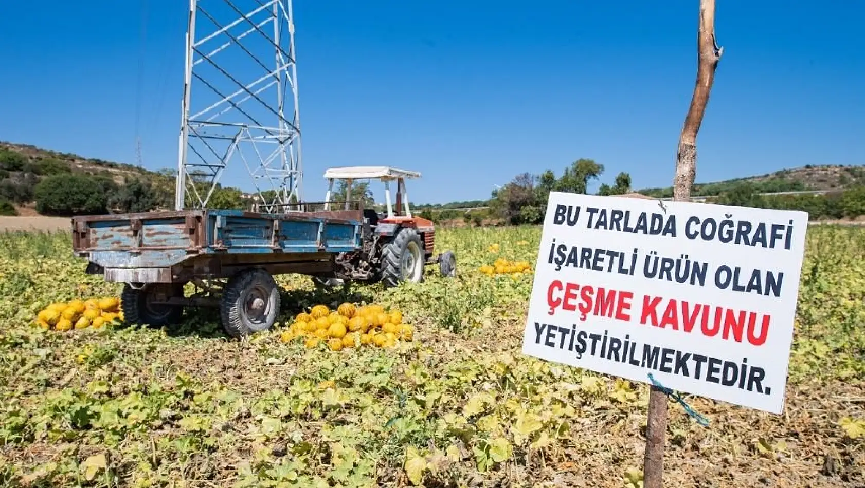 'Kooperatiflere köstek değil, destek olunmalı'