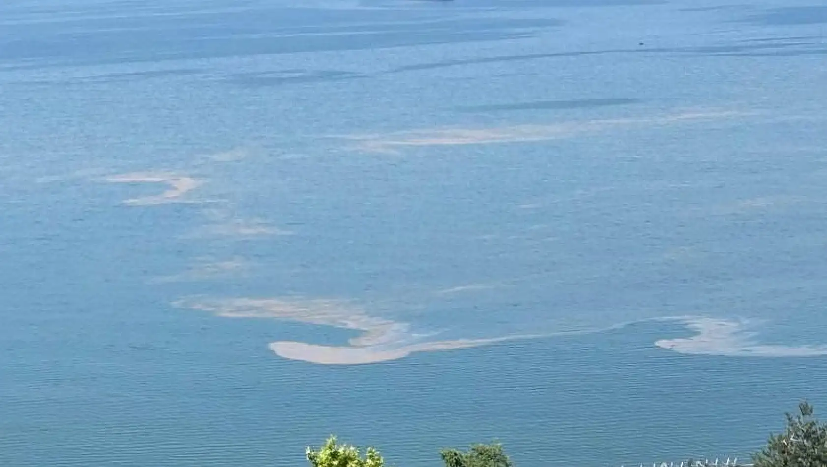 Marmara Denizi’nde müsilaj endişesi