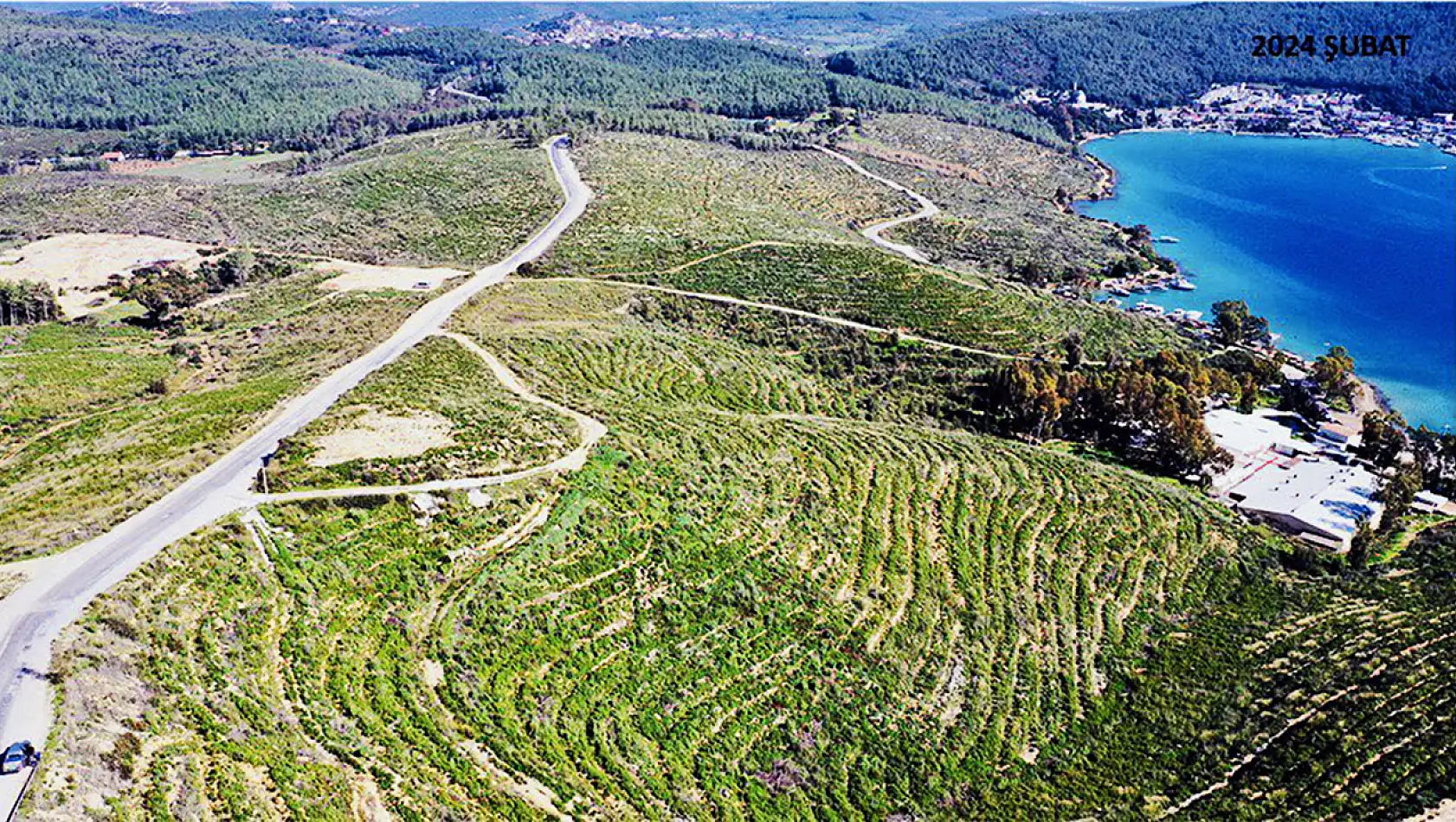 Muğla'da yanan alanlar otellere mi tahsis edildi| Resmi açıklama var!