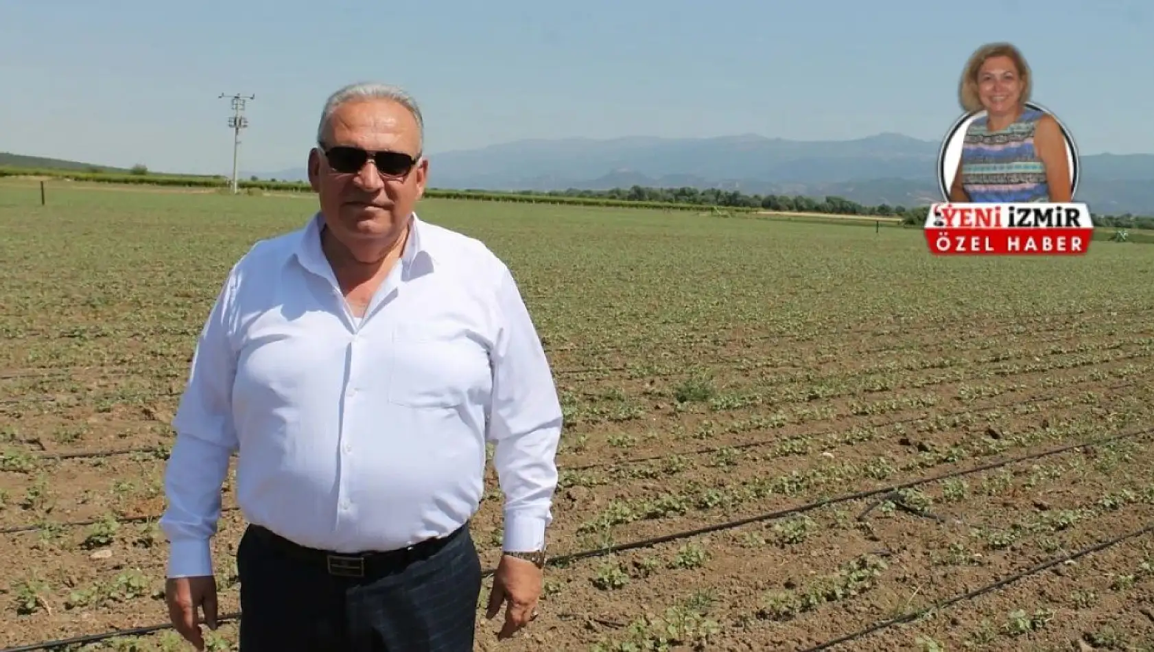 Pamuk alım sezonu sıkıntılı başladı, Tariş alım yapıyor