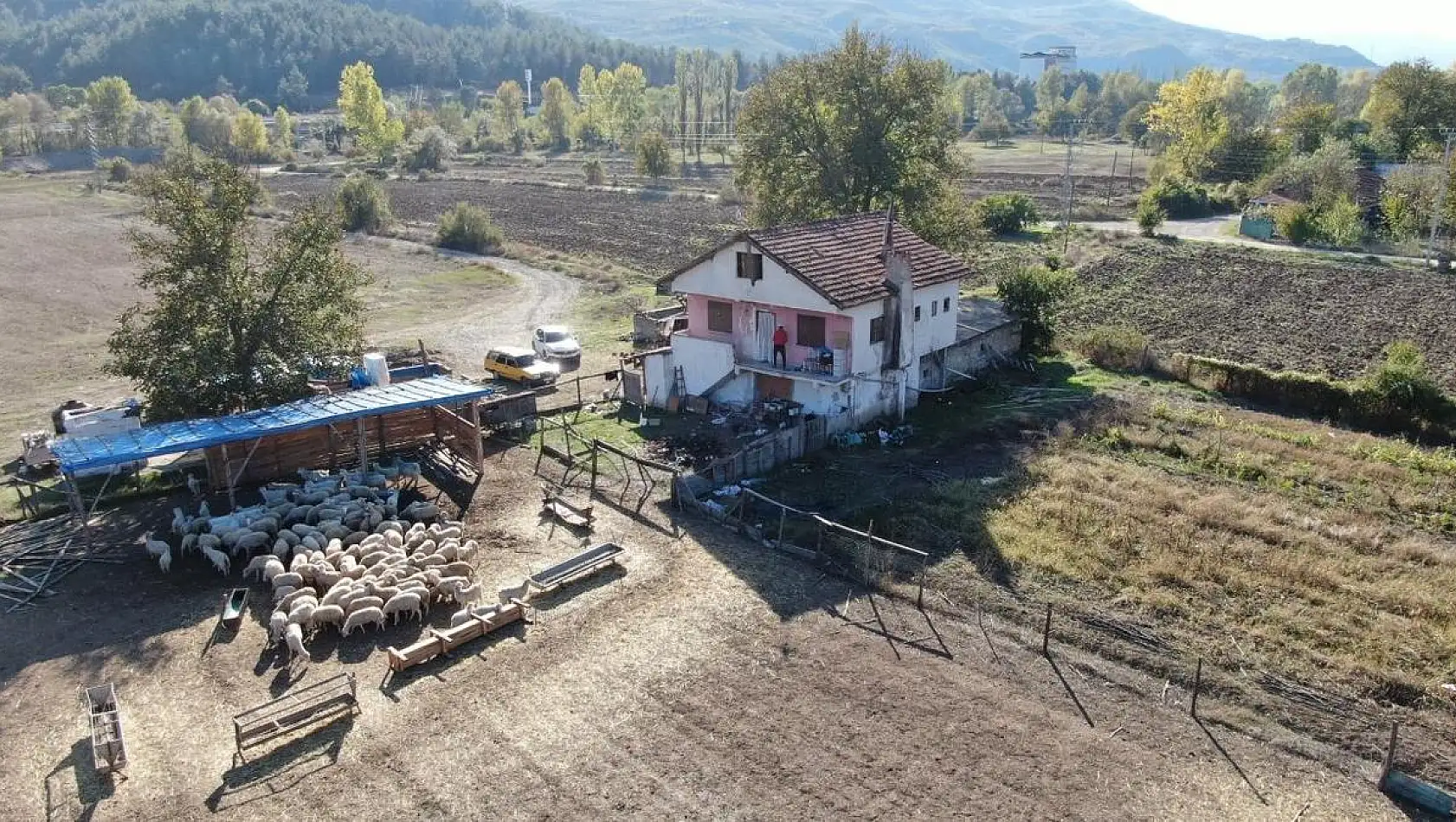 Şehir hayatını bırakıp köye yerleşti: Devlet desteği ile gelirini üç katına çıkardı