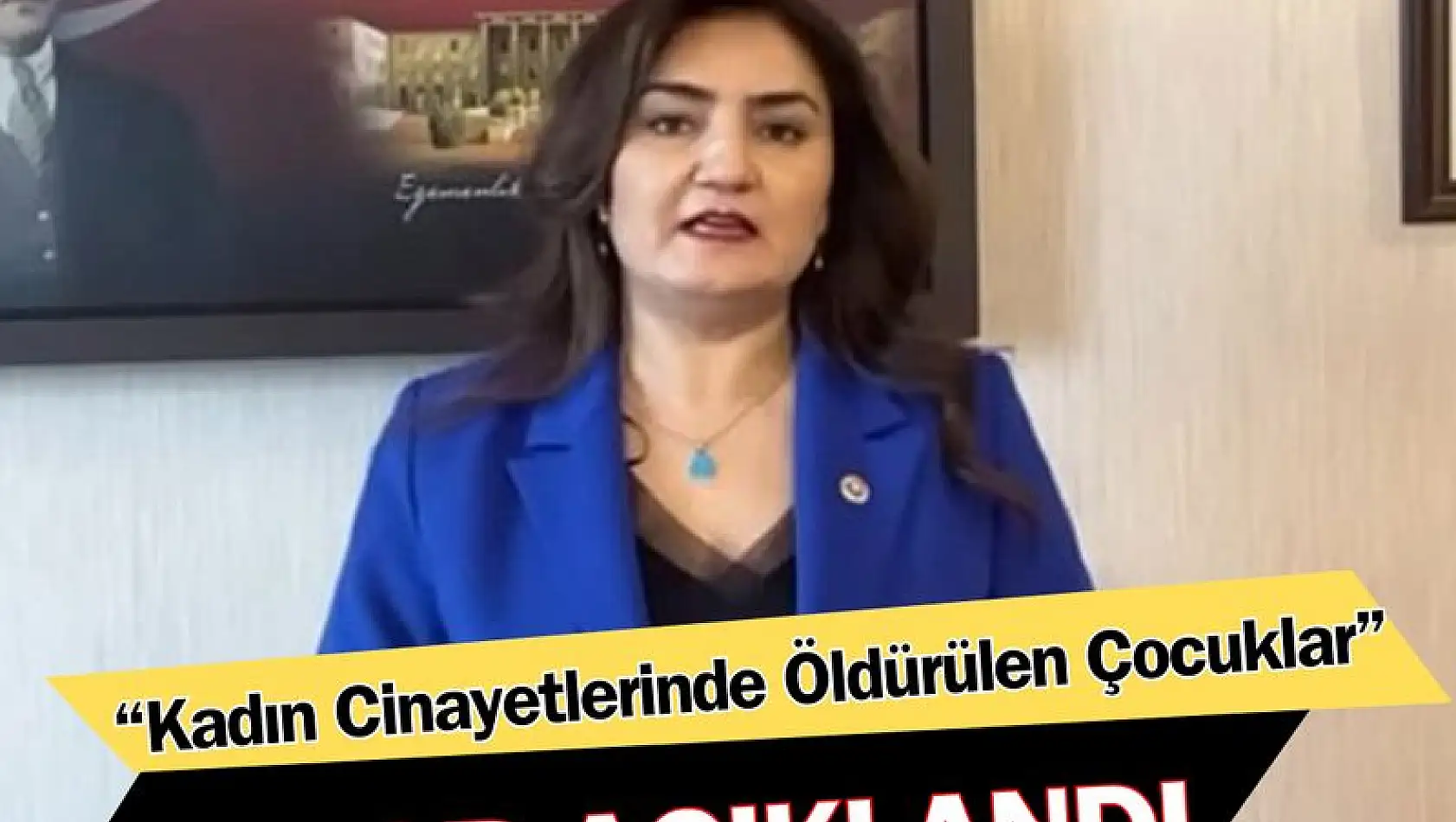 Sevda Erdan Kılıç: 6 ayda 24 çocuk öldürüldü