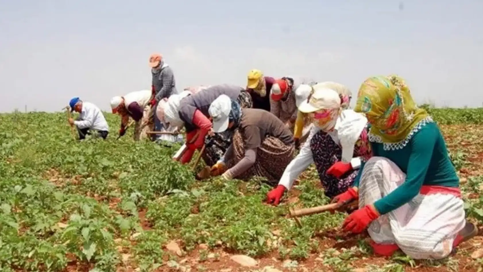 Torbalı mevsimlik işçilere ev sahipliği yapıyor