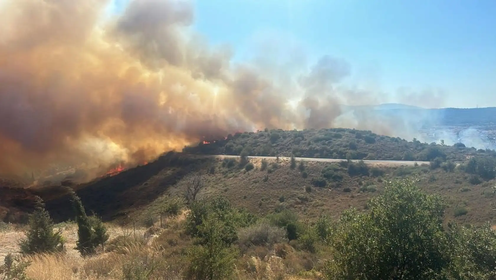 Urla'da ormana sıçrayan yangın kontrol altına alındı