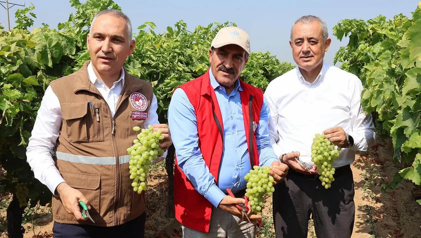 Yaş üzümde 200 milyon dolar aşılacak