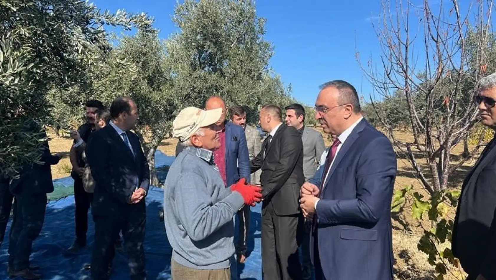 Zeytin hasadına yoğun ilgi: Vali Soytürk, üreticilerle bir araya geldi