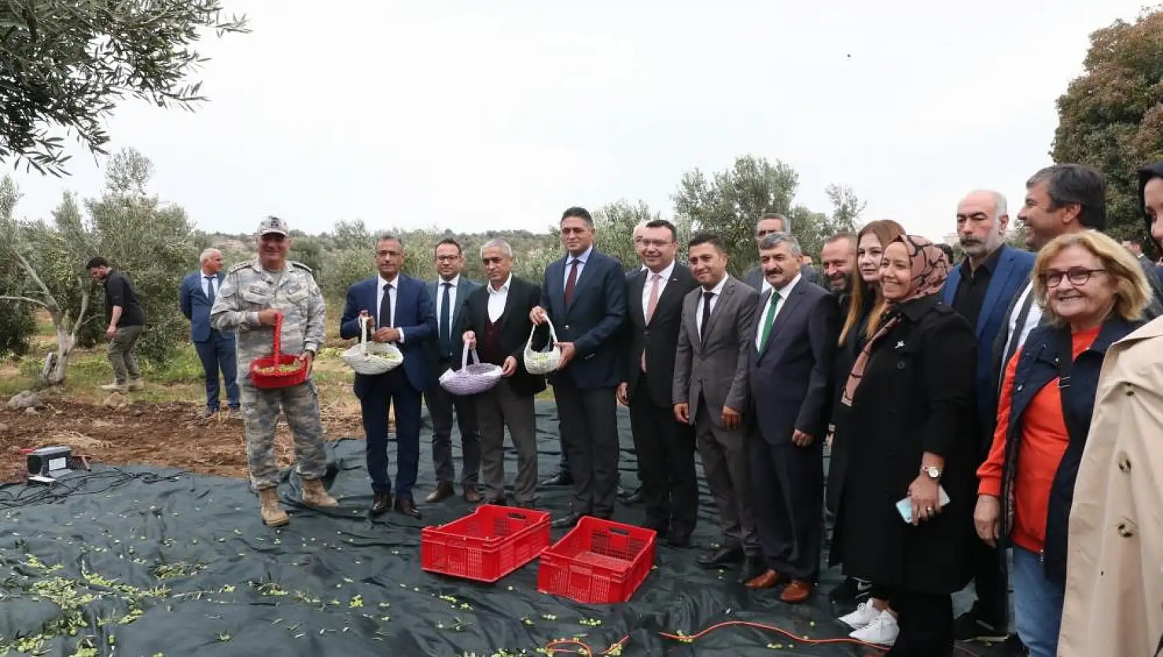 Zeytin Hasat Şenliği Aliağa’da düzenlendi