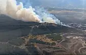 Aliağa'daki orman yangını paniğe neden oldu