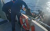 Ege'de insanlık nöbeti: İzmir açıklarında 67 göçmen kurtarıldı