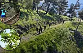İzmir'de Efeler Yolu Ultra Trail başlıyor! 6 ülkeden 256 sporcu katılacak