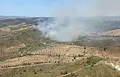 Seferihisar'da orman yangını! Müdahale sürüyor