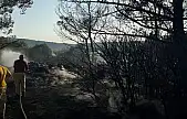 Urla'daki orman yangınına neden olan şahıs tutuklandı