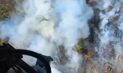 Foça'da bir tütsü ormanı yaktı! Müdahale devam ediyor