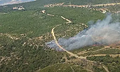 Foça'da orman yangını! Ekipler bölgeye sevk edildi