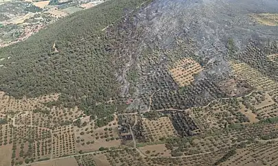 Foça'daki yangın kontrol altında: 4 gözaltı