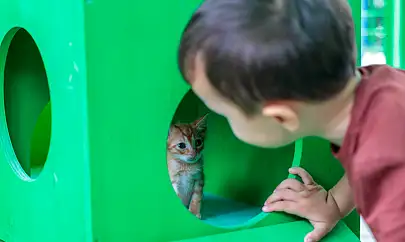Konak'ta can dostlara Ömürlük Yuvalar Şenliği