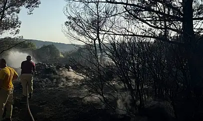Urla'daki orman yangınına neden olan şahıs tutuklandı