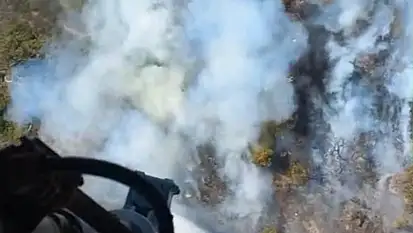 Foça'da bir tütsü ormanı yaktı! Müdahale devam ediyor