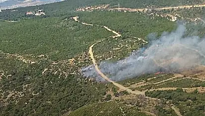 Foça'da orman yangını! Ekipler bölgeye sevk edildi