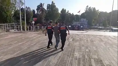 Foça'daki orman yangınıyla ilgili 1 kişi tutuklandı