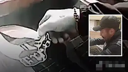 Sosyal medyada bozkurt provokasyonu! Zanlı İzmir'de yakalandı