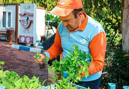 13. Tohum Takas Şenliği başlıyor! 500 bin fide ücretsiz dağıtılacak