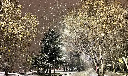 Erzurum'da kar manzaraları